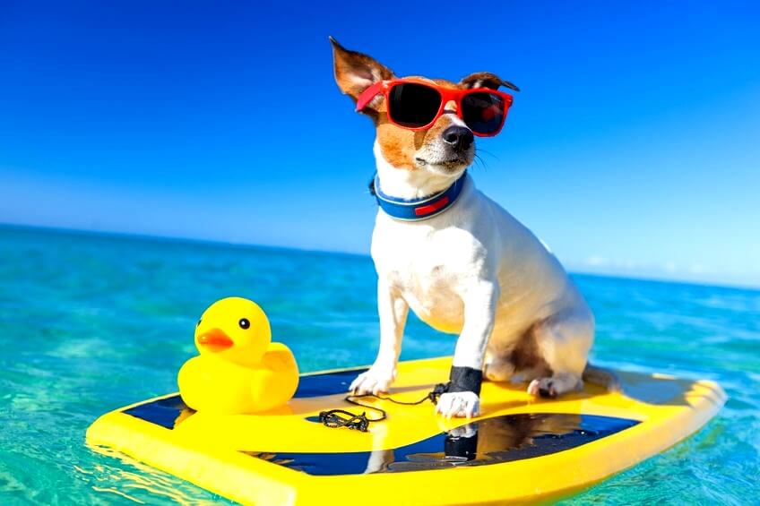 BYshop����ײ�����ͼƬ��������