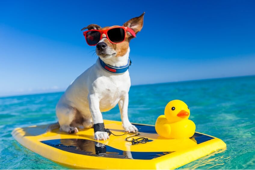 BYshop����ײ�����ͼƬ��������